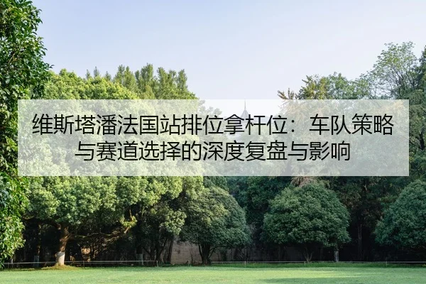 维斯塔潘法国站排位拿杆位：车队策略与赛道选择的深度复盘与影响
